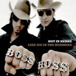 The Bosshoss : Hot in Herre - Like Ice in the Sunshine